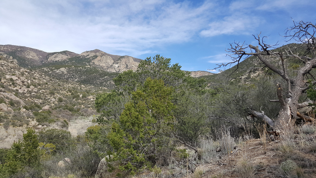 sandia-mountains-embudito-trail-3