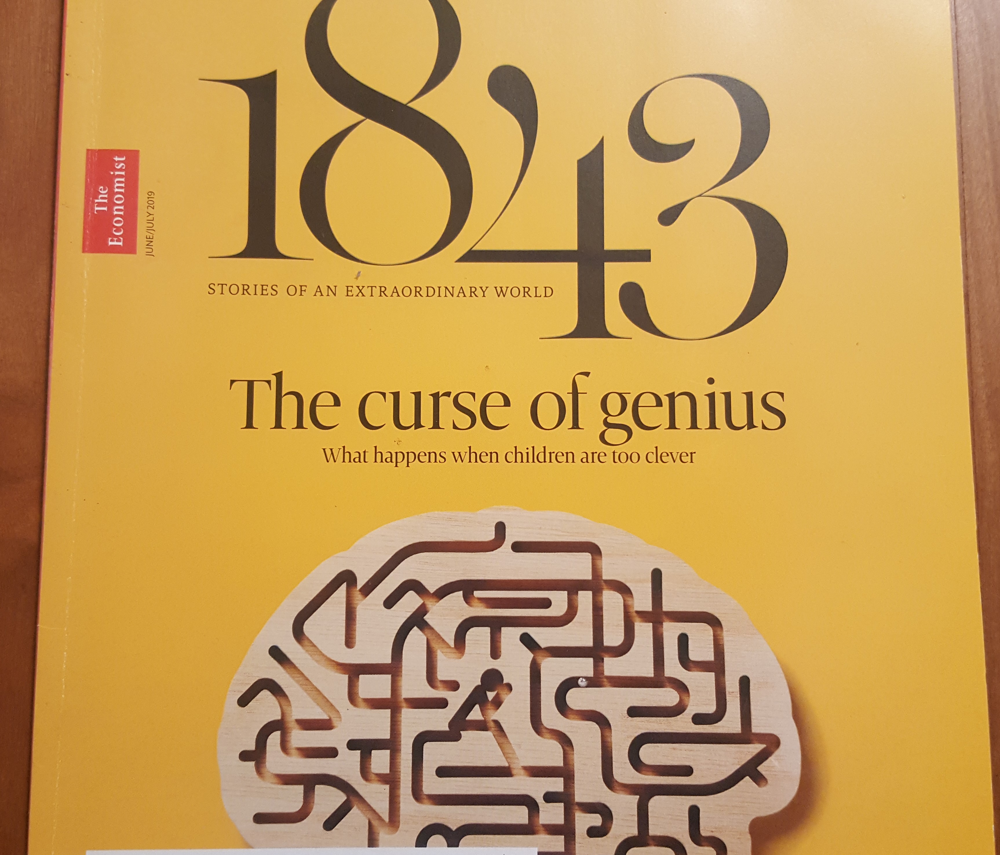 Geniuses - The Curse of the High IQ - The Curse of the High IQ